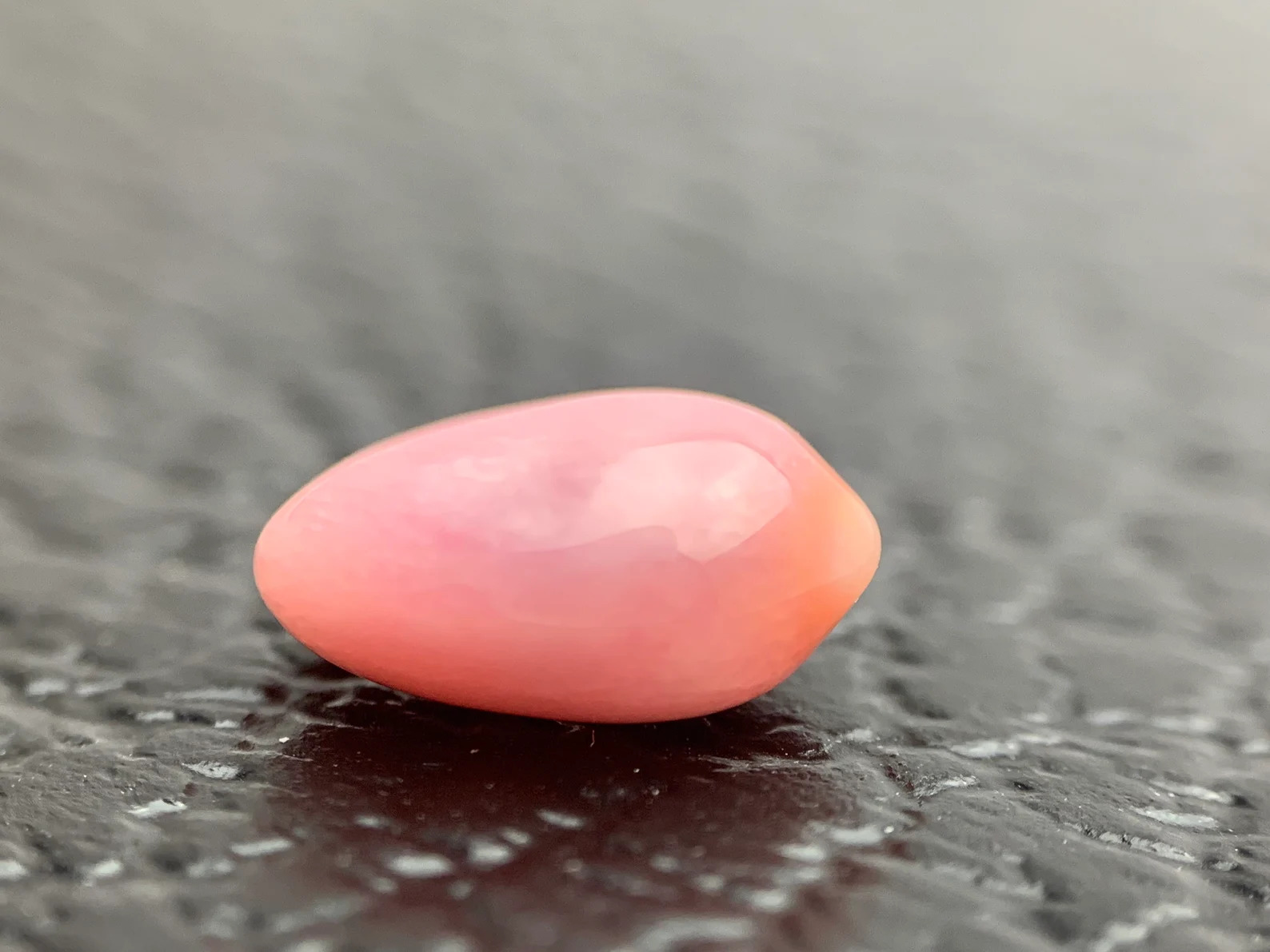 conch pearl